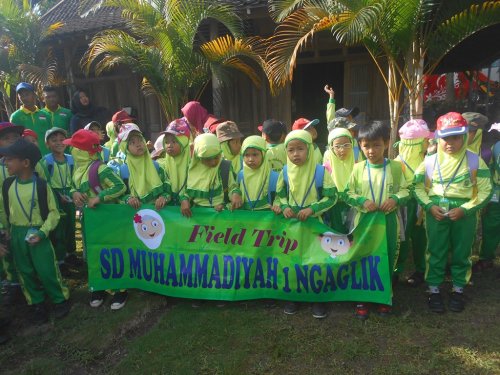 DSCN3389